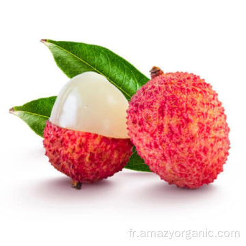 Poudre de fruits naturels Poudre d&#39;extrait de litchi Litchi